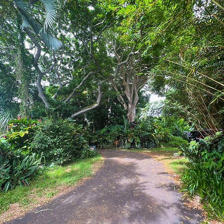 Gingerhill Farm Retreat Apartment Kealakekua Exterior photo