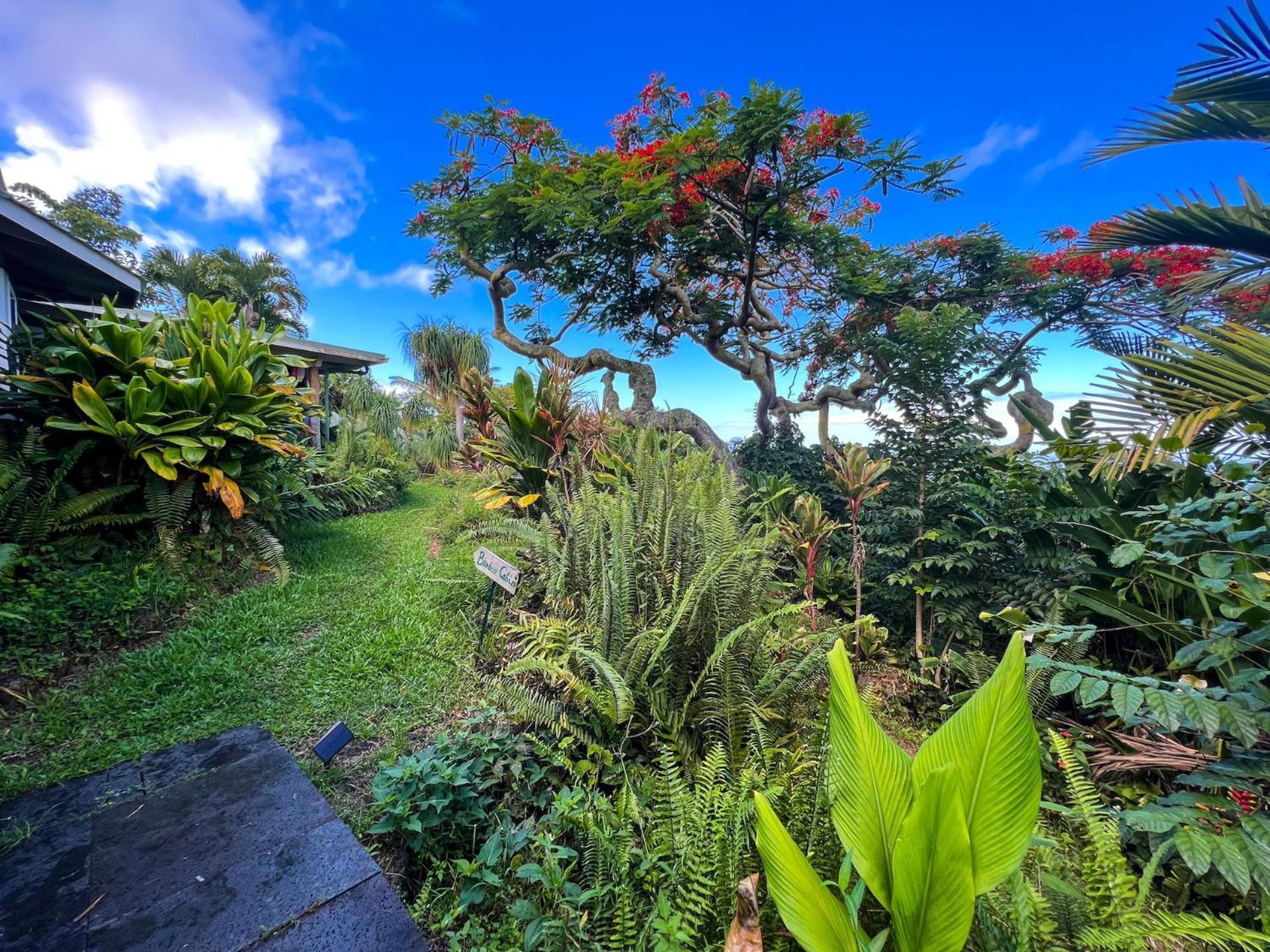 Gingerhill Farm Retreat Apartment Kealakekua Exterior photo