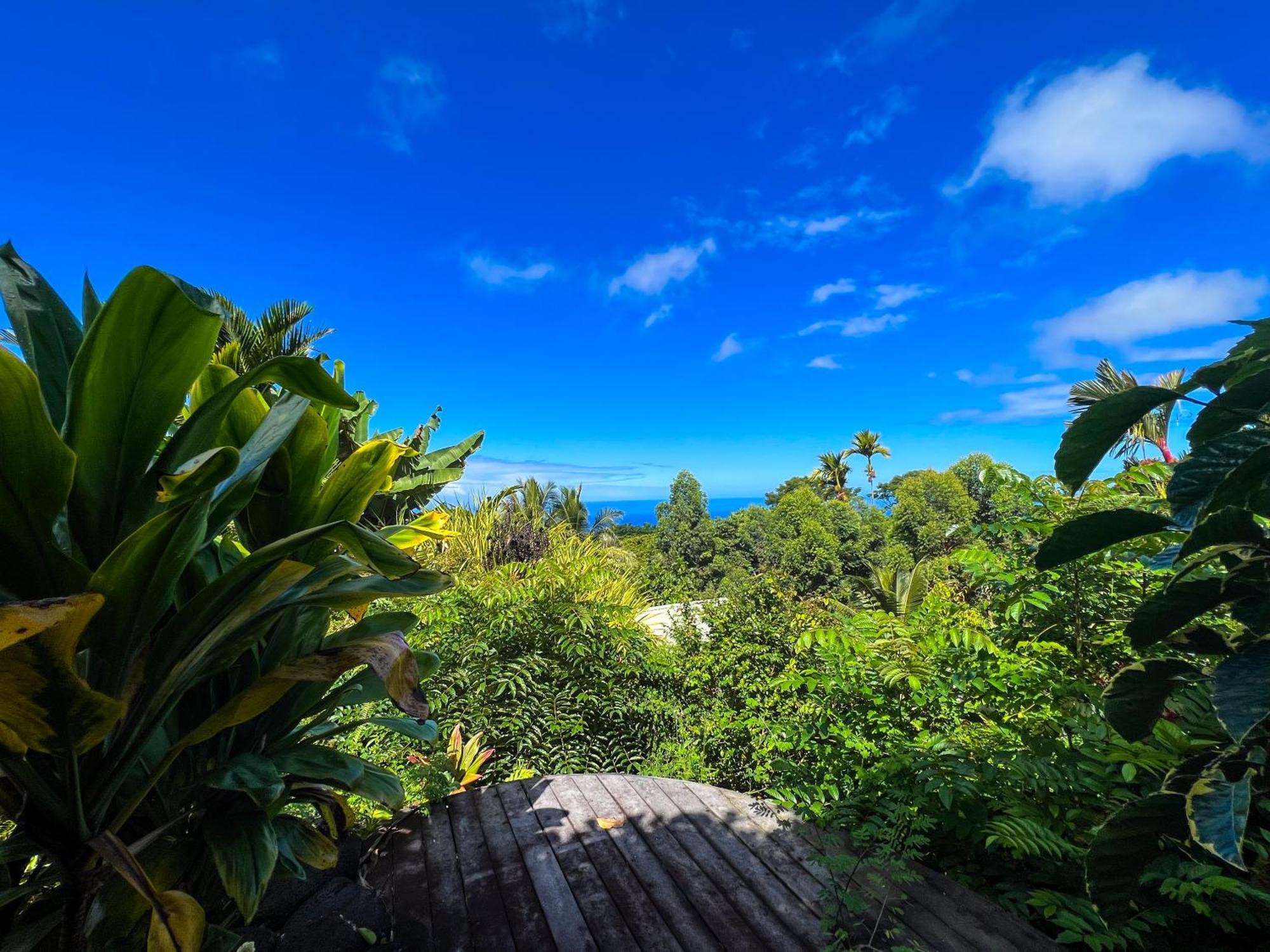 Gingerhill Farm Retreat Apartment Kealakekua Exterior photo