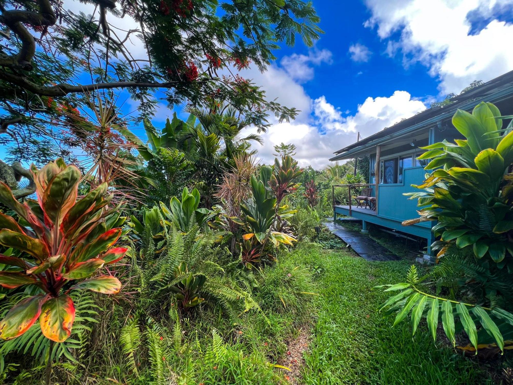 Gingerhill Farm Retreat Apartment Kealakekua Exterior photo