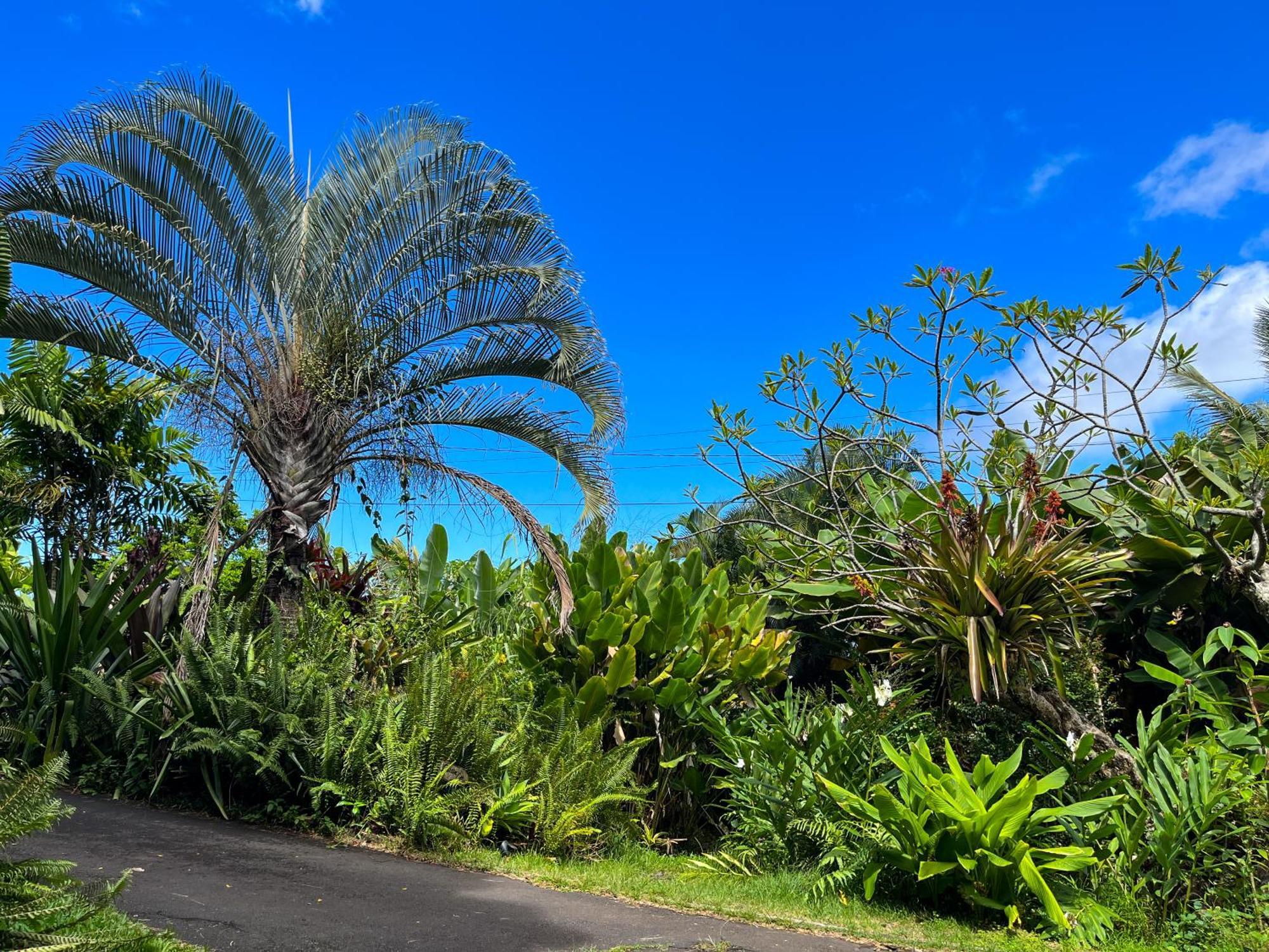 Gingerhill Farm Retreat Apartment Kealakekua Exterior photo