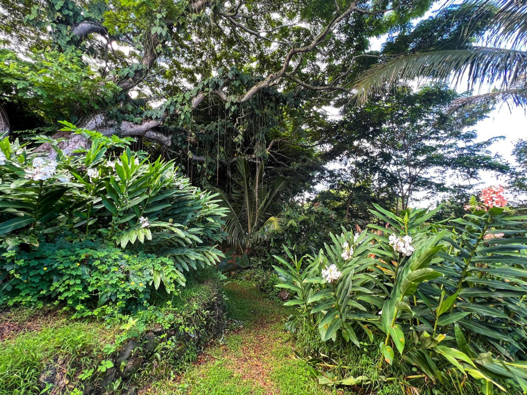 Gingerhill Farm Retreat Apartment Kealakekua Exterior photo