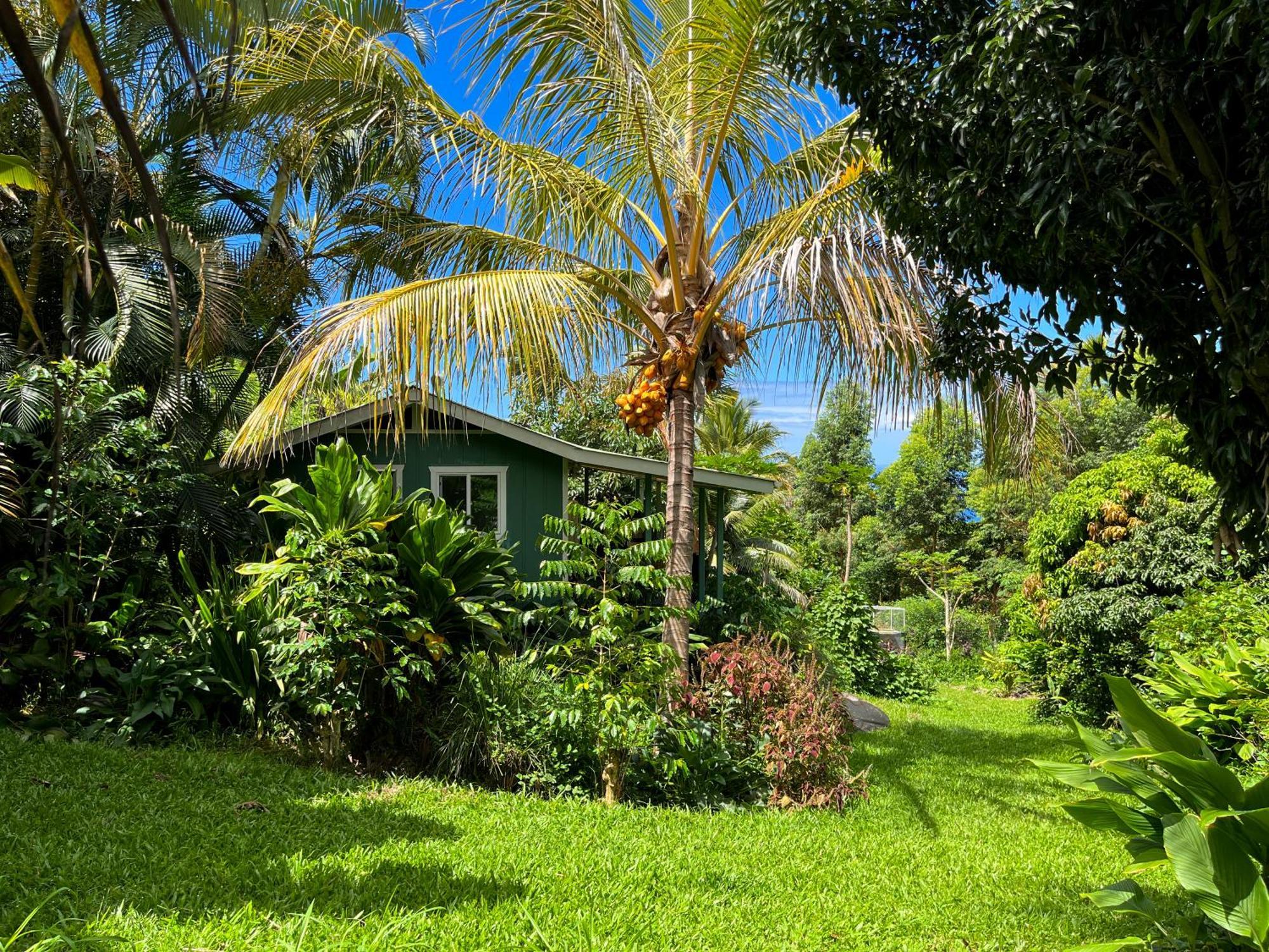 Gingerhill Farm Retreat Apartment Kealakekua Exterior photo