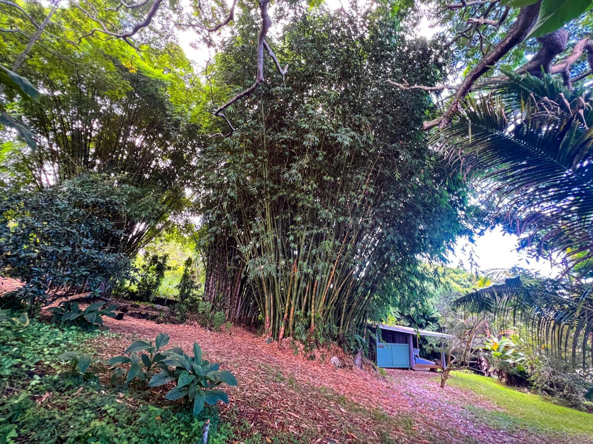 Gingerhill Farm Retreat Apartment Kealakekua Exterior photo