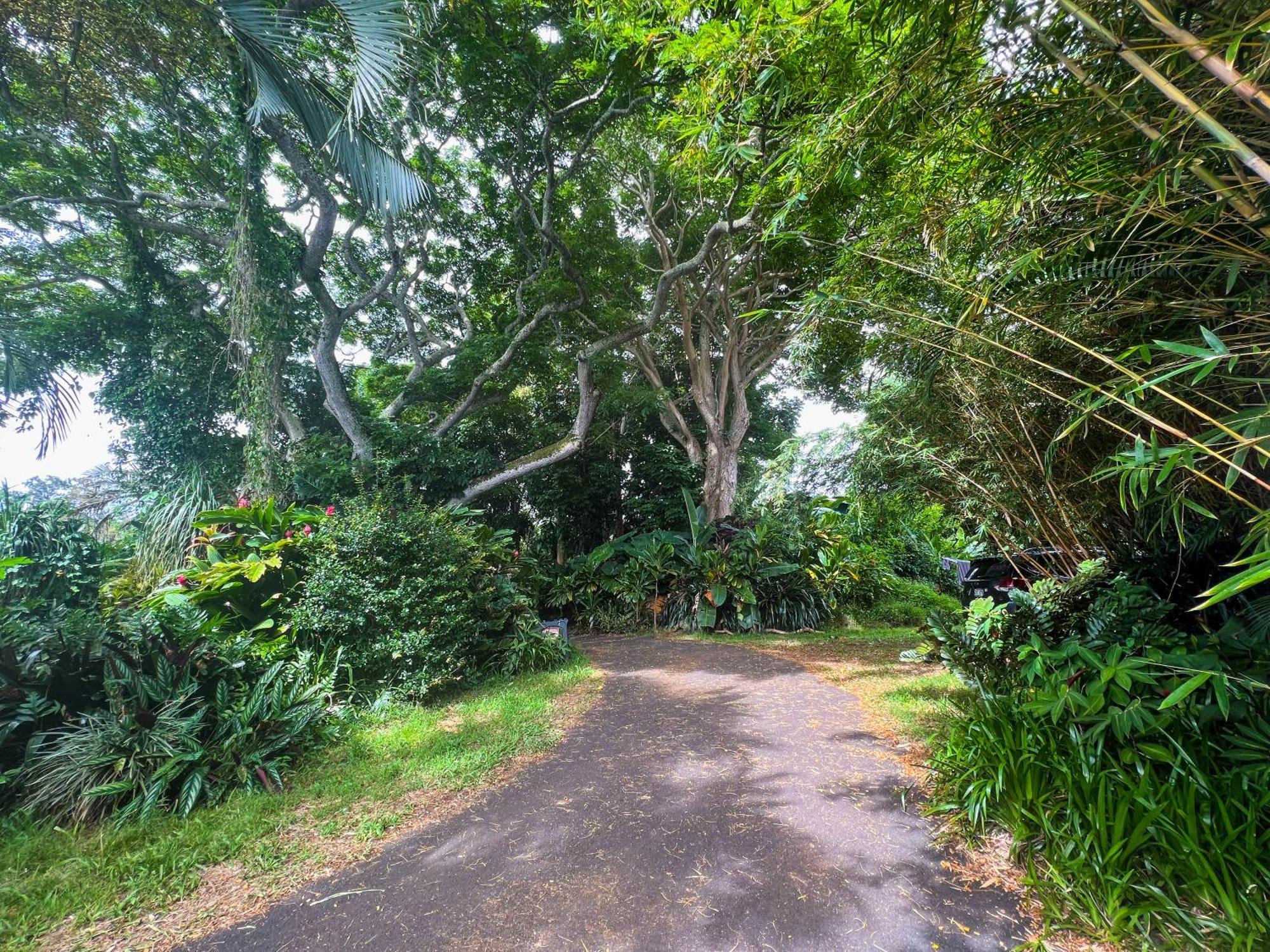 Gingerhill Farm Retreat Apartment Kealakekua Exterior photo