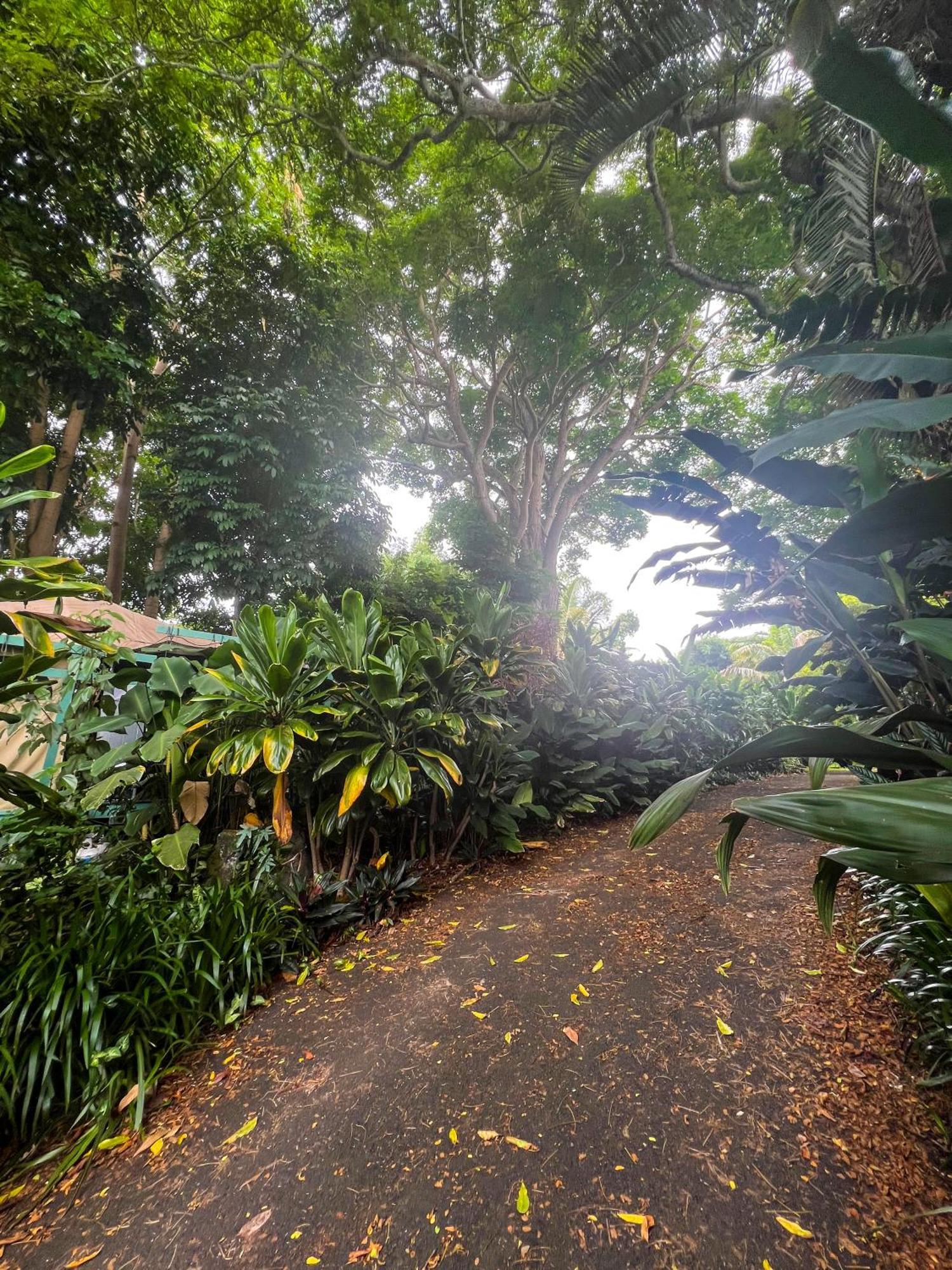 Gingerhill Farm Retreat Apartment Kealakekua Exterior photo