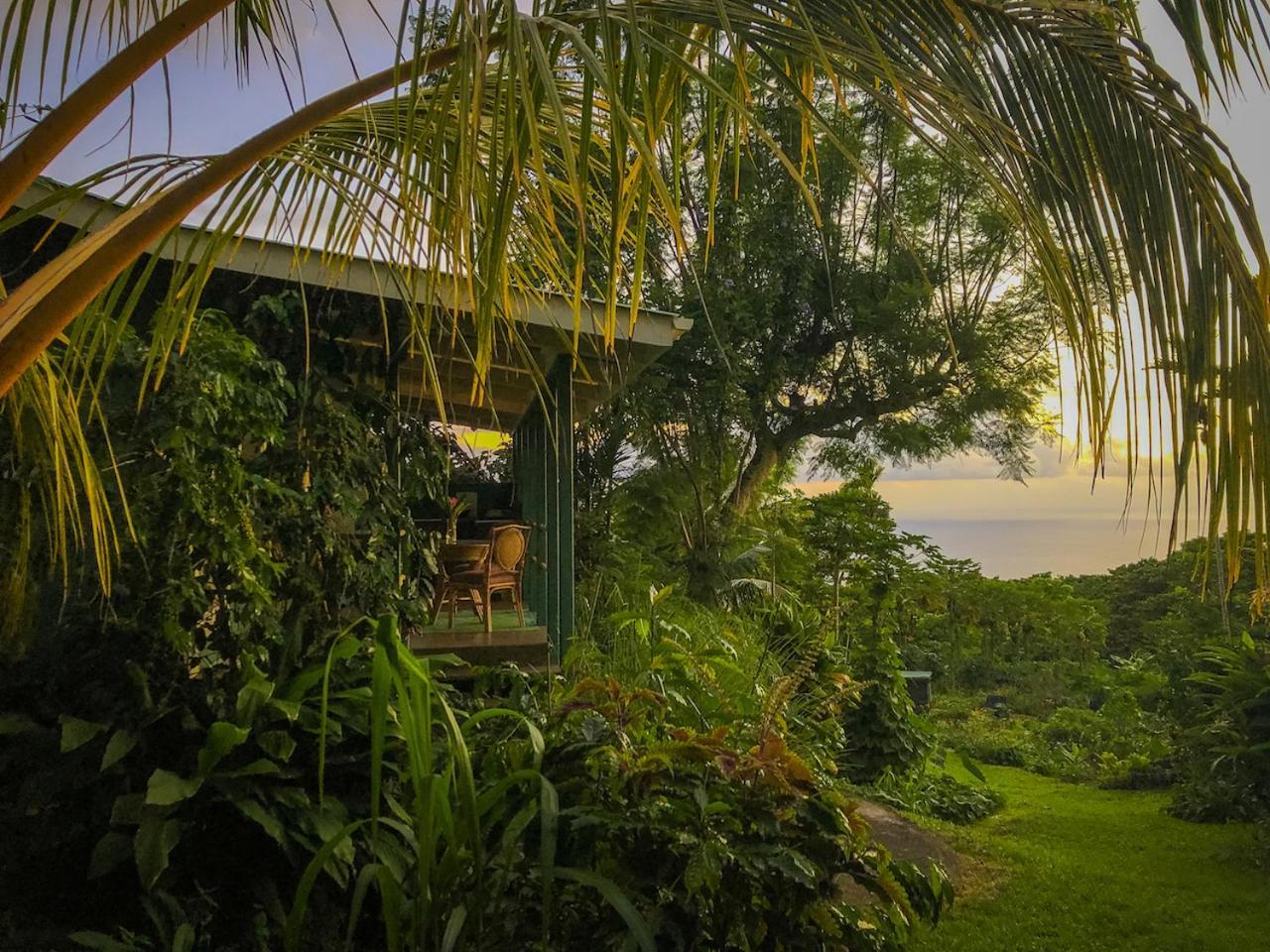 Gingerhill Farm Retreat Apartment Kealakekua Exterior photo