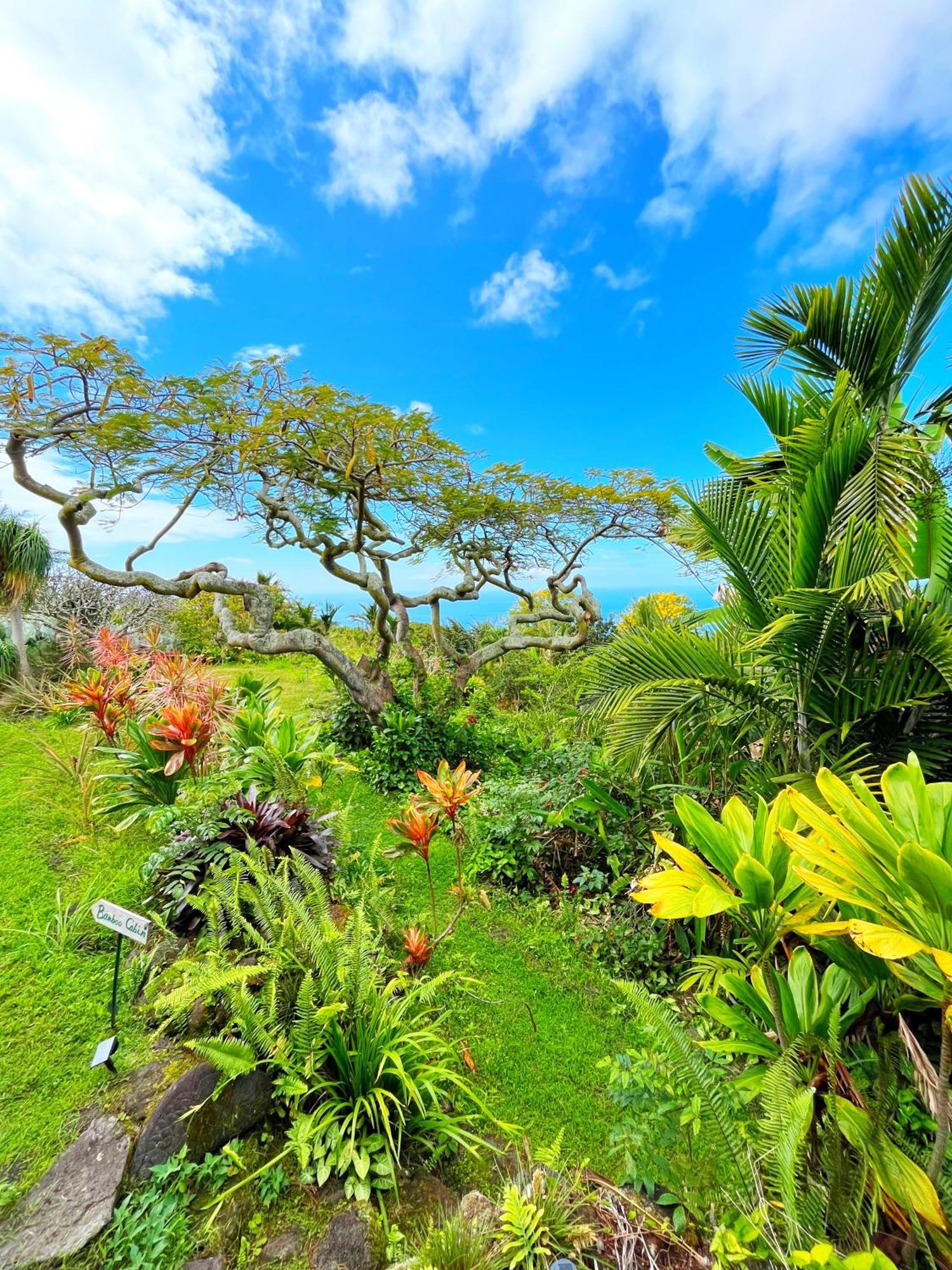 Gingerhill Farm Retreat Apartment Kealakekua Exterior photo