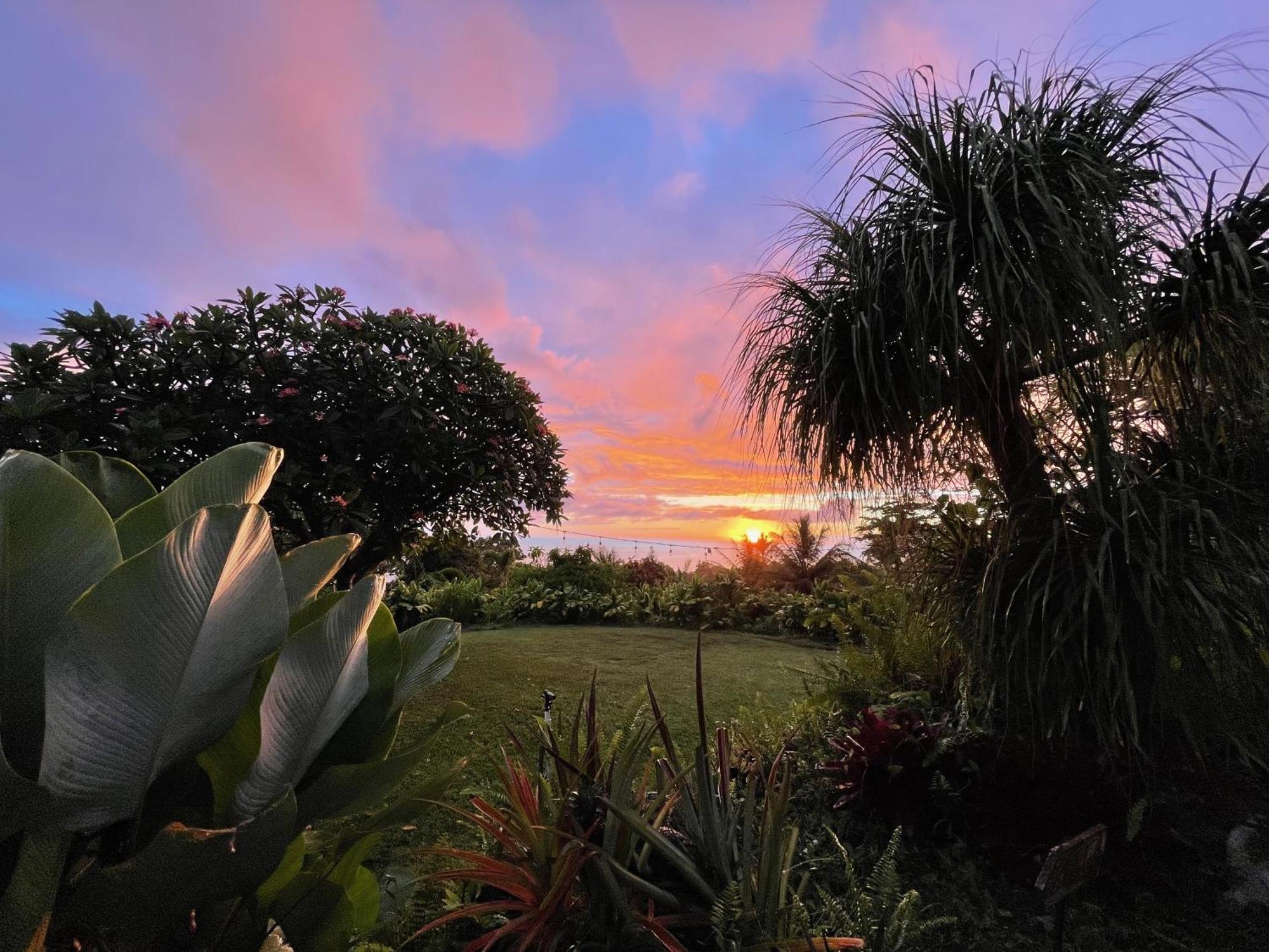 Gingerhill Farm Retreat Apartment Kealakekua Exterior photo