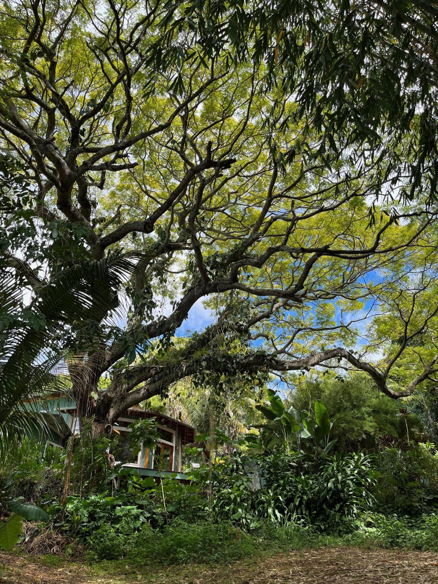 Gingerhill Farm Retreat Apartment Kealakekua Exterior photo